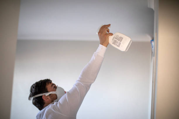 Best Certified Mold Removal  in Eagle, CO