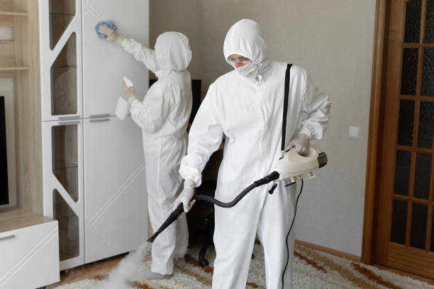 Mold Testing and Removal in Eagle, CO